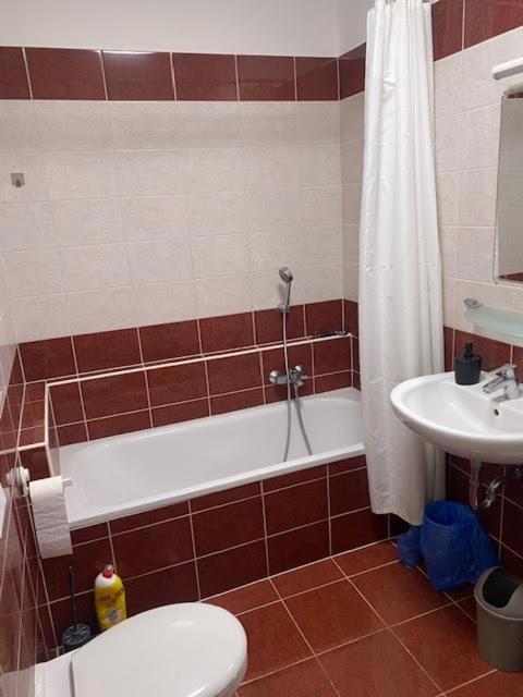 Roland Apartment Downtown - Garay Βουδαπέστη Εξωτερικό φωτογραφία